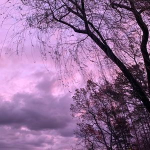 Meet your Posher, Joyanna